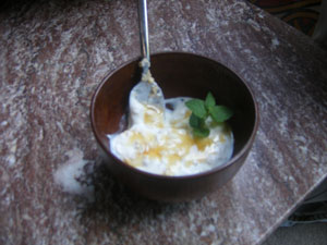 Greek yogurt, with toasted oats and honey