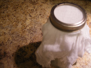 Mason jar with cheesecloth, the perfect yogurt fermenter