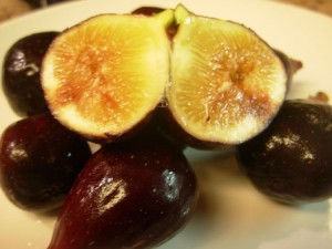 LSU Purple figs from Petals from the Past